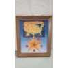 Image 1 : Historic Americana Depicted On Lincoln Cents In Frame - Face Value: $0.06