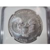 Image 4 : 2020-W Burnished Silver Eagle - 1 oz .999 Fine Silver - NGC MS 70