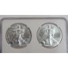 Image 4 : NGC 2021 MS 70 1 Troy Ounce .999 Fine Silver U.S American Eagle 2-Coin Set - Type 1 & Type 2
