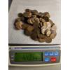 Image 1 : Lot of Assorted Wheat Pennies (649g) - AFV: $2.08 (estimated by weight)