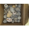 Image 1 : Box of Uncut Geodes