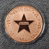 Image 3 : Colorized One TROY Ounce .999 Fine Copper Sea Turtle Round in Protective Capsule