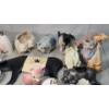 Image 6 : Large Lot Of Assorted Pig Figurines Including Dime Saver Pig 