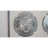 Image 3 : NGC 2021 MS 70 1 Troy Ounce .999 Fine Silver U.S American Eagle 2-Coin Set - Type 1 & Type 2