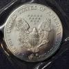 Image 2 : 2004 United States Silver .999 1 Oz Eagle - Some Toning