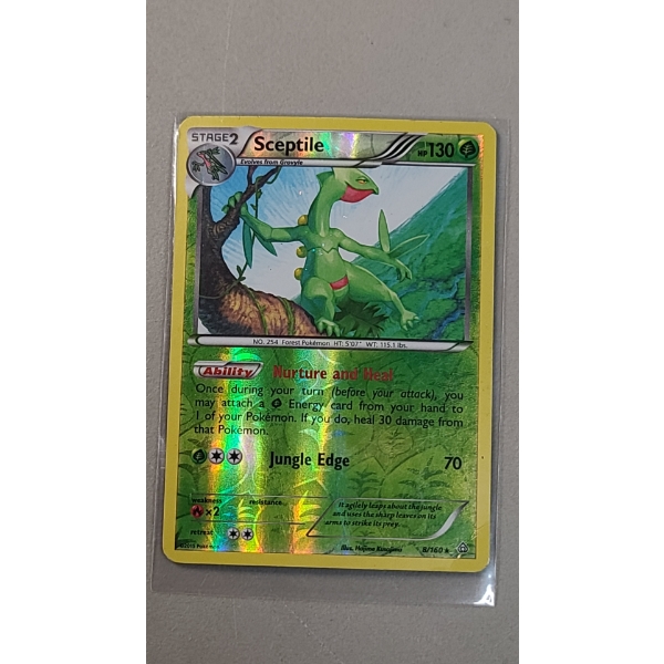 Pokemon TCG 'Sceptile' From XY Primal Clash Series 8/160 Rare Reverse Holo Card