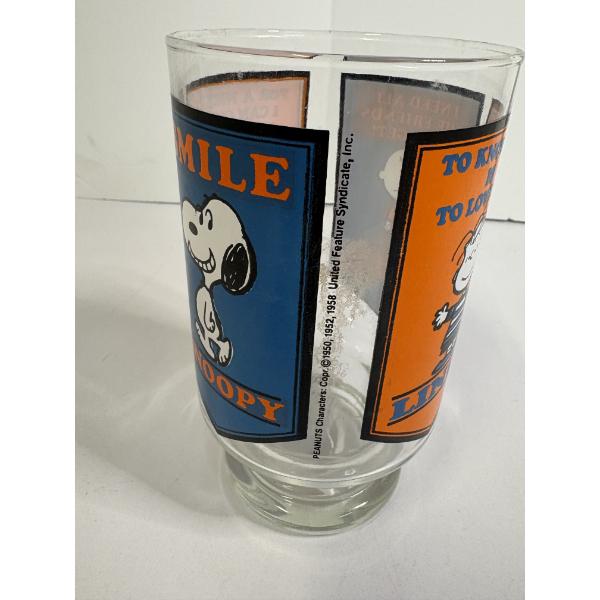 Peanuts Glass - Snoopy - Charlie Brown - Linus - Lucy