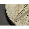 Image 5 : 1923-S Silver Peace Dollar