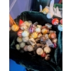 Image 2 : Mostly New Christmas Items, Including Light Stakes, Candy Garland, Plush Snowman, Velvet Bows & More