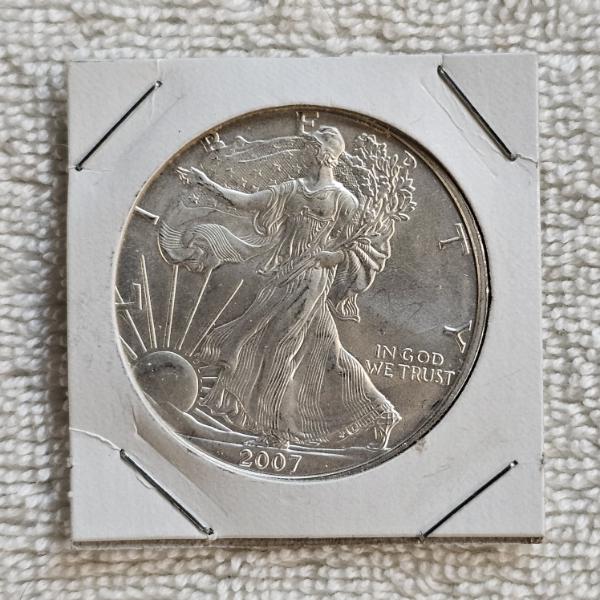 2007 American Silver Eagle Dollar Coin Minted from 1 Troy Ounce of 99.9% Fine Silver