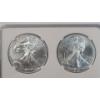 Image 6 : NGC 2021 MS 70 1 Troy Ounce .999 Fine Silver U.S American Eagle 2-Coin Set - Type 1 & Type 2
