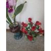 Image 6 : PICKUP IN CANTON - Excellent Condition Artificial Flower Collection, Vases, Wreath & More 
