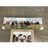 Image 2 : Cow Photo Frames - Multiple Cows & Cows with Vegetables - 40x12" & 17.68x21.61"