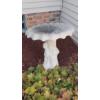 Outdoor Concrete Bird Bath As Shown