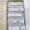 Image 3 : Collection of 10 Assorted U.S. Quarter $10 Tubes - Approx. Face Value $100.00