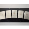 Image 8 : 2024 St. Louis Mint "Horror Flush" Silver Card Set: Includes (5) 1oz .999 Fine Silver Cards 