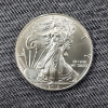 Image 1 : 2013 American Silver Eagle - 1 Troy Oz .999 Silver
