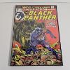 Image 1 : Jungle Action Featuring The Black Panther Issue 10 Framed Comic Book Glass Art, 12x16"