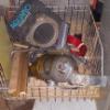 Image 11 : Multiple Racks Of Bins & Everything Contained - Tools Equipment - See The Pictures
