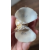 Image 16 : Lot Of Clown Collectibles