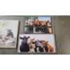 Image 3 : (3) Assorted Size Farm Cow Hanging Wall Signs - Sizes In Description