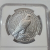 Image 4 : NCG X Mint State 9.9 2024 United States 2024 .999 Fine Silver Peace Dollar "Don't Tread on Me"