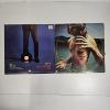 Image 2 : Todd Rundgren - The Ever Popular Tortured Artist Effect (1982) & Back to the Bars (1978) Vinyl