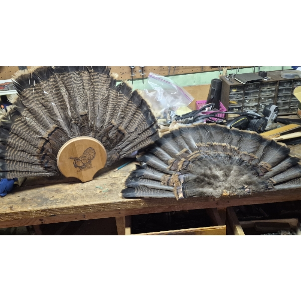 PICKUP IN CANTON - TURKEY FEATHER DISPLAY - SET OF 2 - ONE RACK - INTERCHANGEABLE AS SHOWN