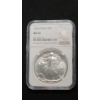 Image 1 : NGC 1992 MS 69 1 Troy Ounce 99.9% Silver American Eagle