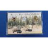 Image 1 : American Bison Nickel Collection 5 Coin Set In Acrylic Display
