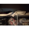 Image 3 : Louisville Home Pickup - large Group - Throw Pillows / Electric Blanket / Duffle Bags / Sheets  More
