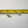 Image 6 : 14K Yellow Gold 19" Necklace with "Little Sister" Half Heart Pendant - TW: 1.9g