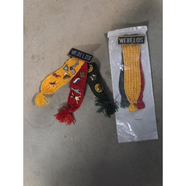 Weeblos Pin Collection In Great Condition