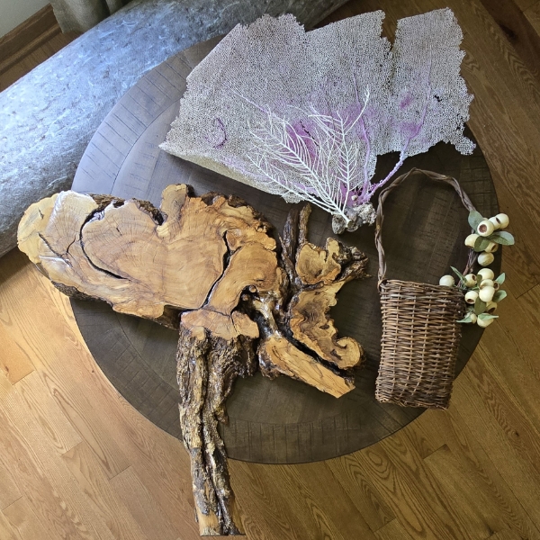 Lacquered Driftwood (30x27), Coral and Wall Basket
