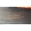 Image 8 : Signed Tony Stewart Home Depot #20 2004 1:24 Scale Diecast Collectible W/ Case & COA