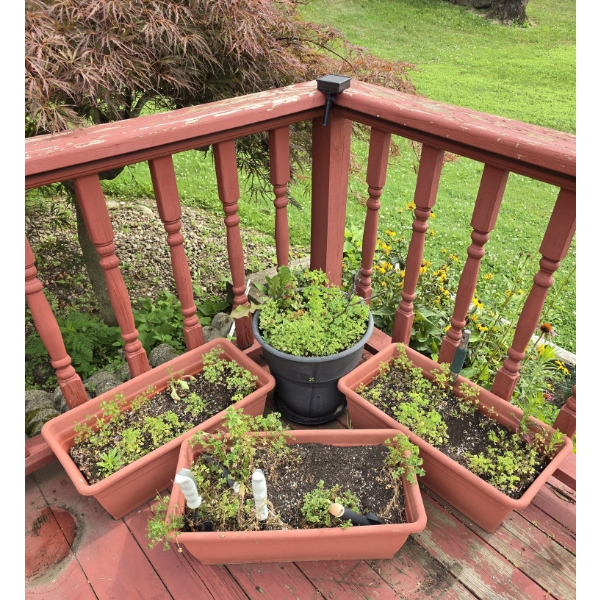 4 Quality Plastic Planters incl 1 Bucket Style and 3 Rectangles