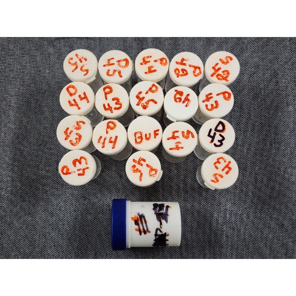 18 Nickel Sized Hard Plastic Coin Tubes Plus An Additional Bottle for Coins!