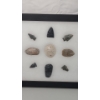 Image 3 : Framed Collection Of (14) Arrowheads & (1) Shell 