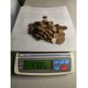 Image 1 : Lot of Assorted Wheat Pennies (570g) - AFV: $1.83 (estimated by weight)