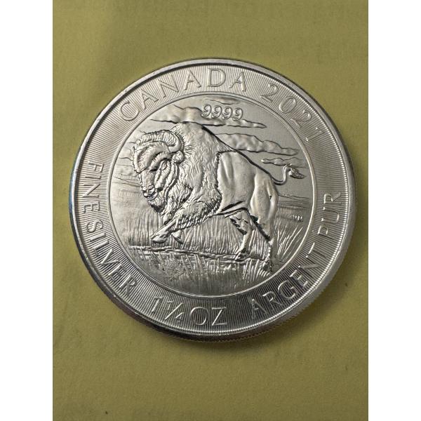2021 Canadian Mint-  1- 1/4 Ounce .9999 Fine Silver Ounce Buffalo Coin - Mint Condition