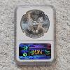 Image 2 : NGC MS69 Graded 2013 .999 Fine Silver 1oz. Eagle