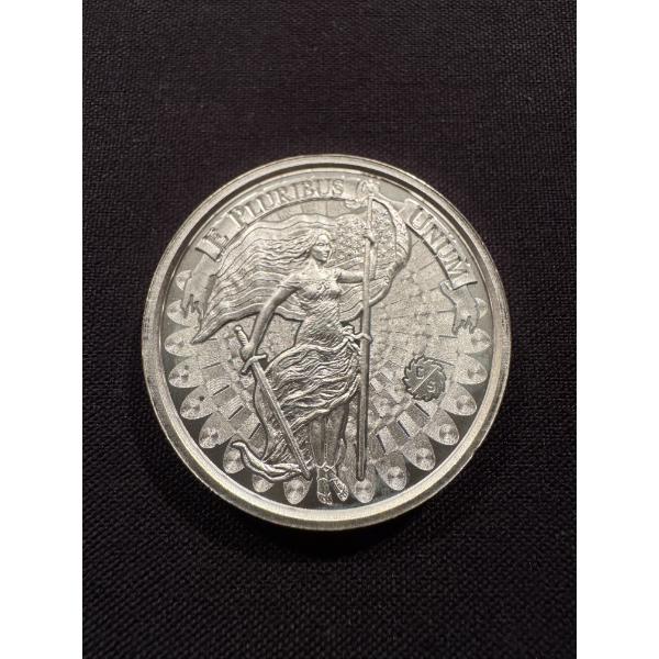 Outstanding 2 Troy Ounces .999 Fine Silver Coin - High Relief - Incredible Condition