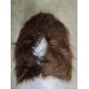 Image 4 : New With Tags! Realistic Planet Of The Apes Adult Latex Mask 