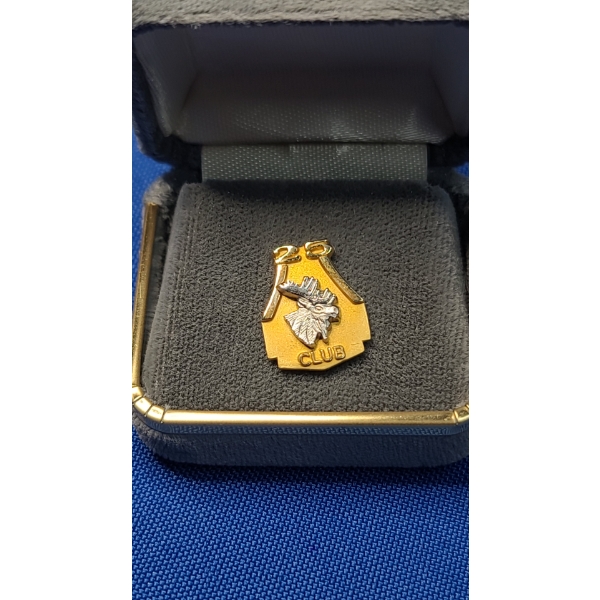 10K Gold Moose Lodge 25 Pin - Total Weight: 2.8g