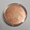 Image 2 : 5 Ounce AVP .999 Fine Copper Incuse Indian Copper Round in Capsule