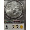 Image 4 : 2021-P Emergency Issue U.S. Silver Eagle Struck At Philadelphia - PCGS MS 69