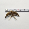 Image 3 : Gorgeous Victorian 14K Gold Swallow Brooch with Intricate Details and Gemstone Eye TW: 3.1g