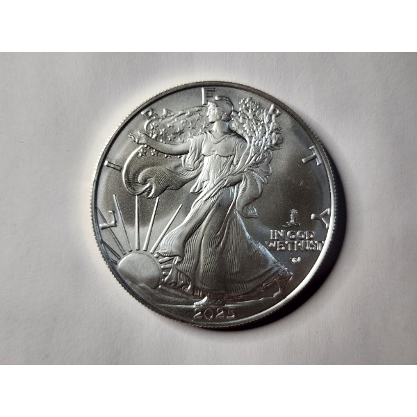 RARE 2025 1 Oz Fine Silver American Eagle One Dollar Bullion Round - EAGLE PRIVY MARK! 