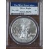Image 1 : The West Point Mint 2013 Silver Eagle PCGS MS70 999 Fine Silver Ounce