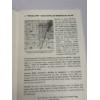 Image 6 : Plain Township Brochures - Jerusalem Bookmark
